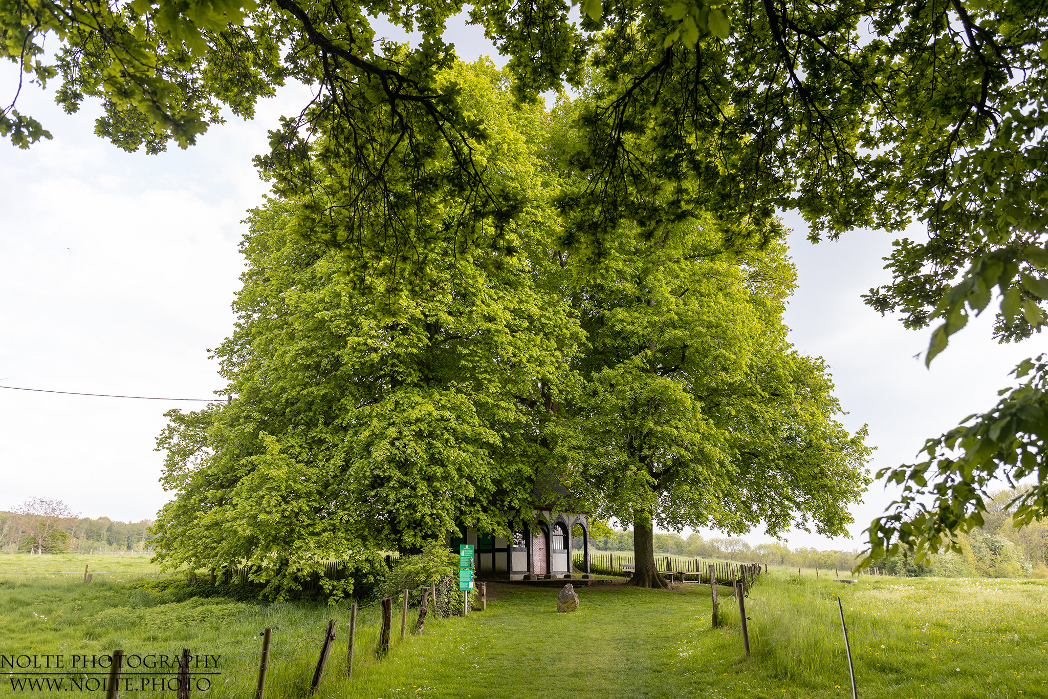 Die Rochuskapelle in Sand mit den umghebenden Bäumen.