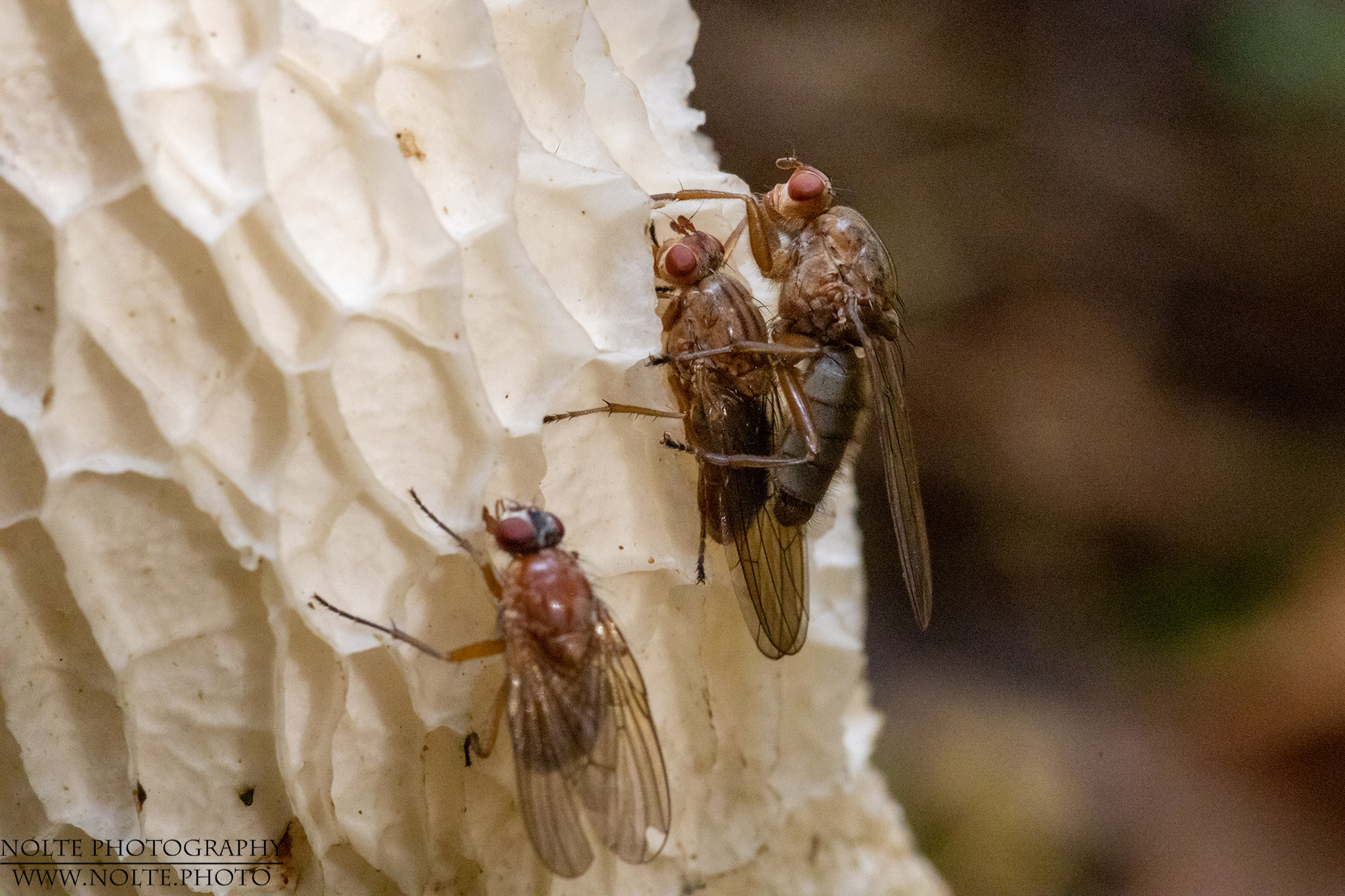 Gruppentreffen am Pilz