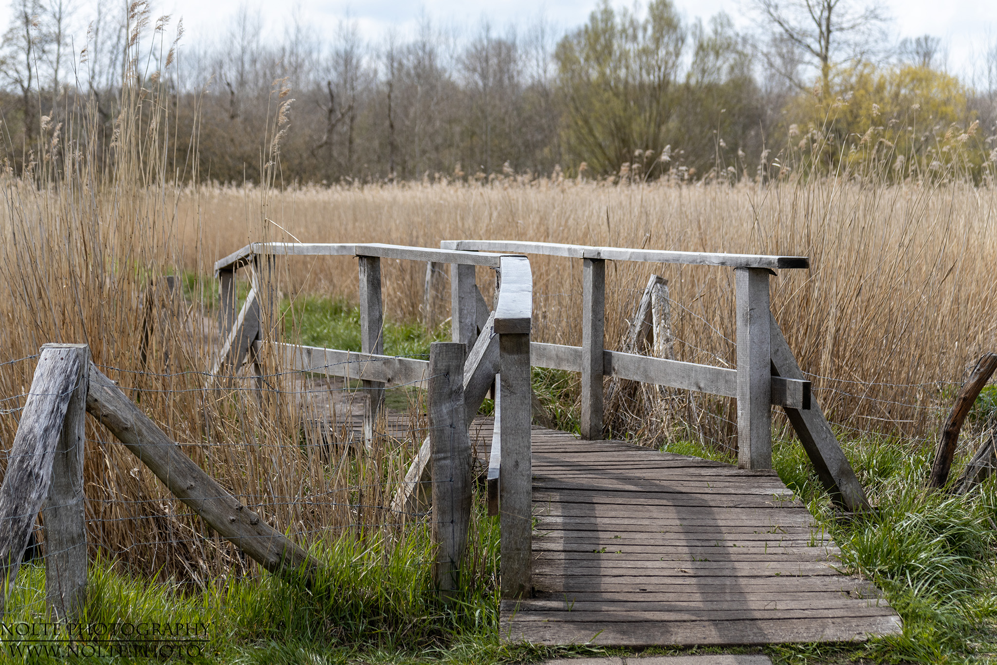 Brücke über einen Bach im Naturschutzgebiet