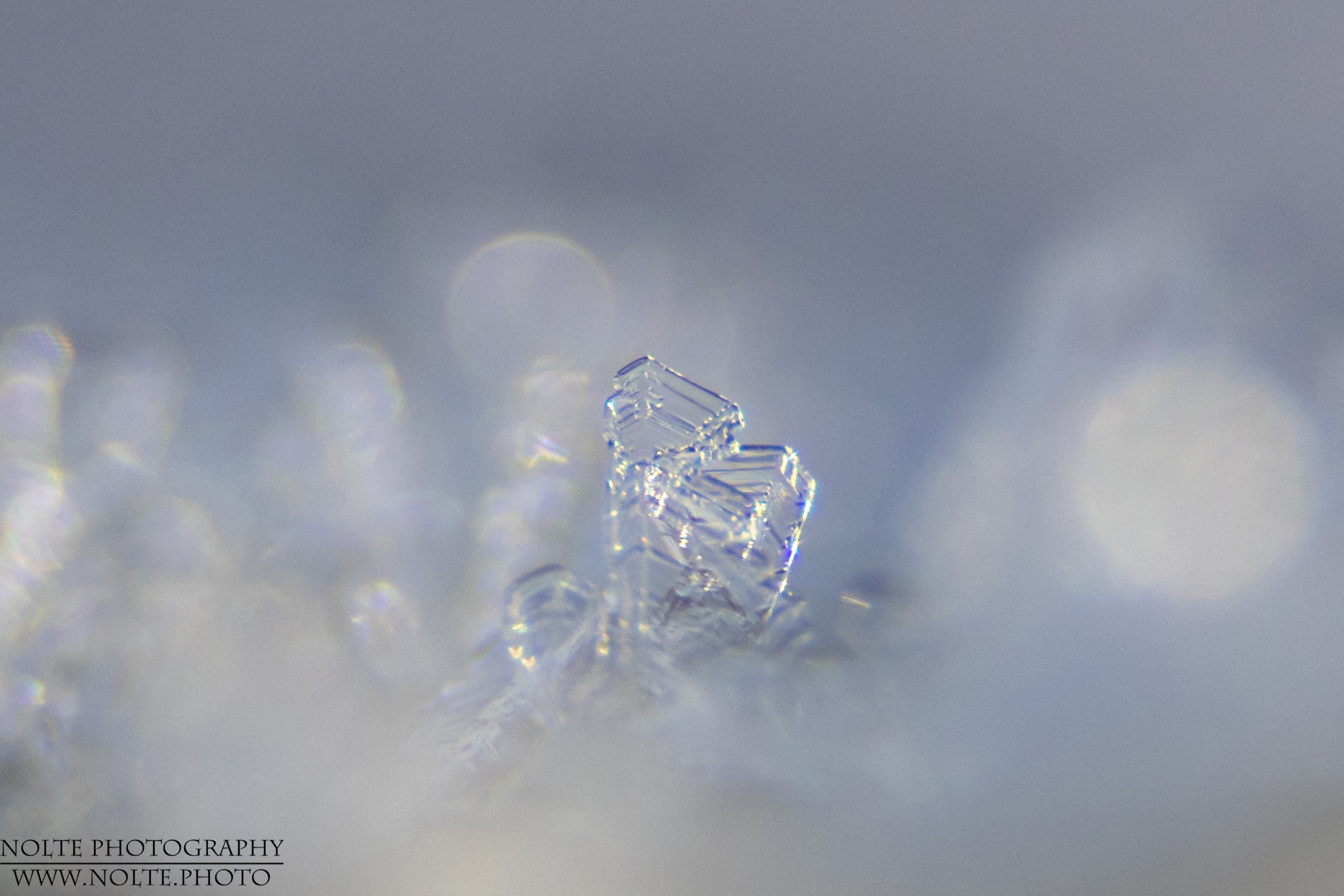 Einer unter unzähligen