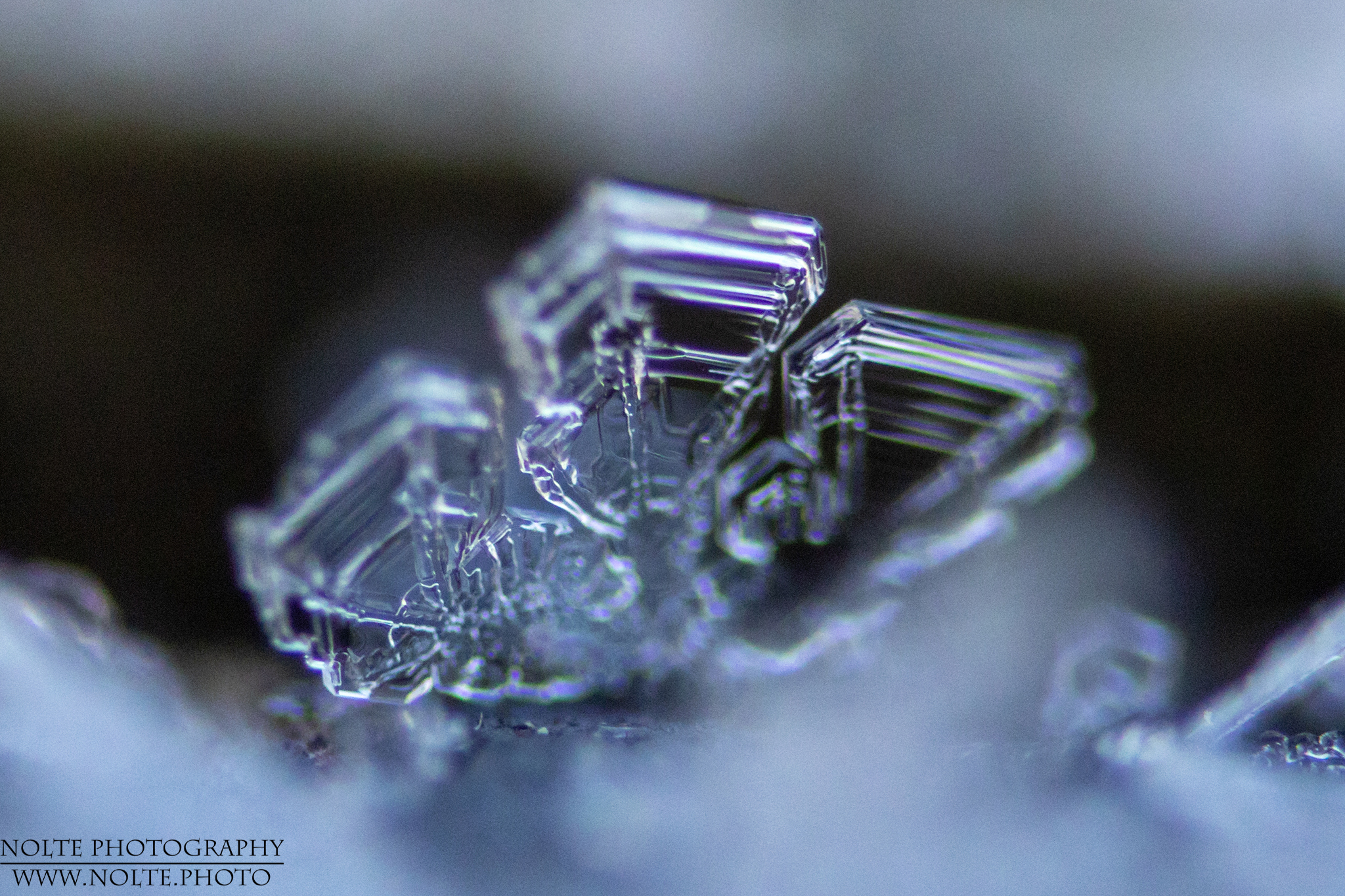 Einzelönder Schneekristall