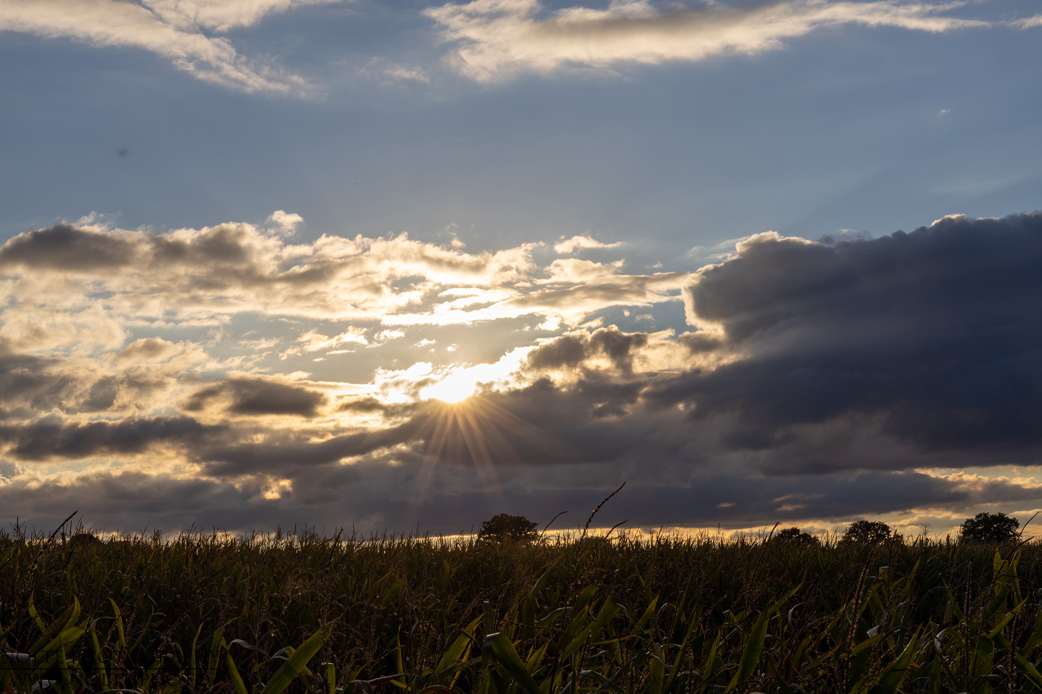 Bei jeder dunklen Wolke kommt irgendwann doch die Sonne hervor