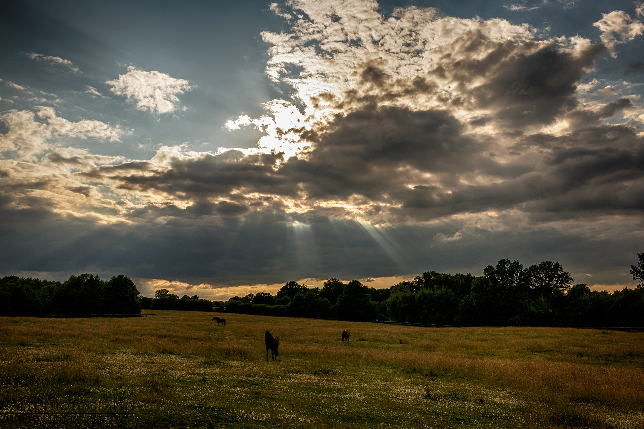 Die Sonne hinter Wolken über einer Pferdekoppel