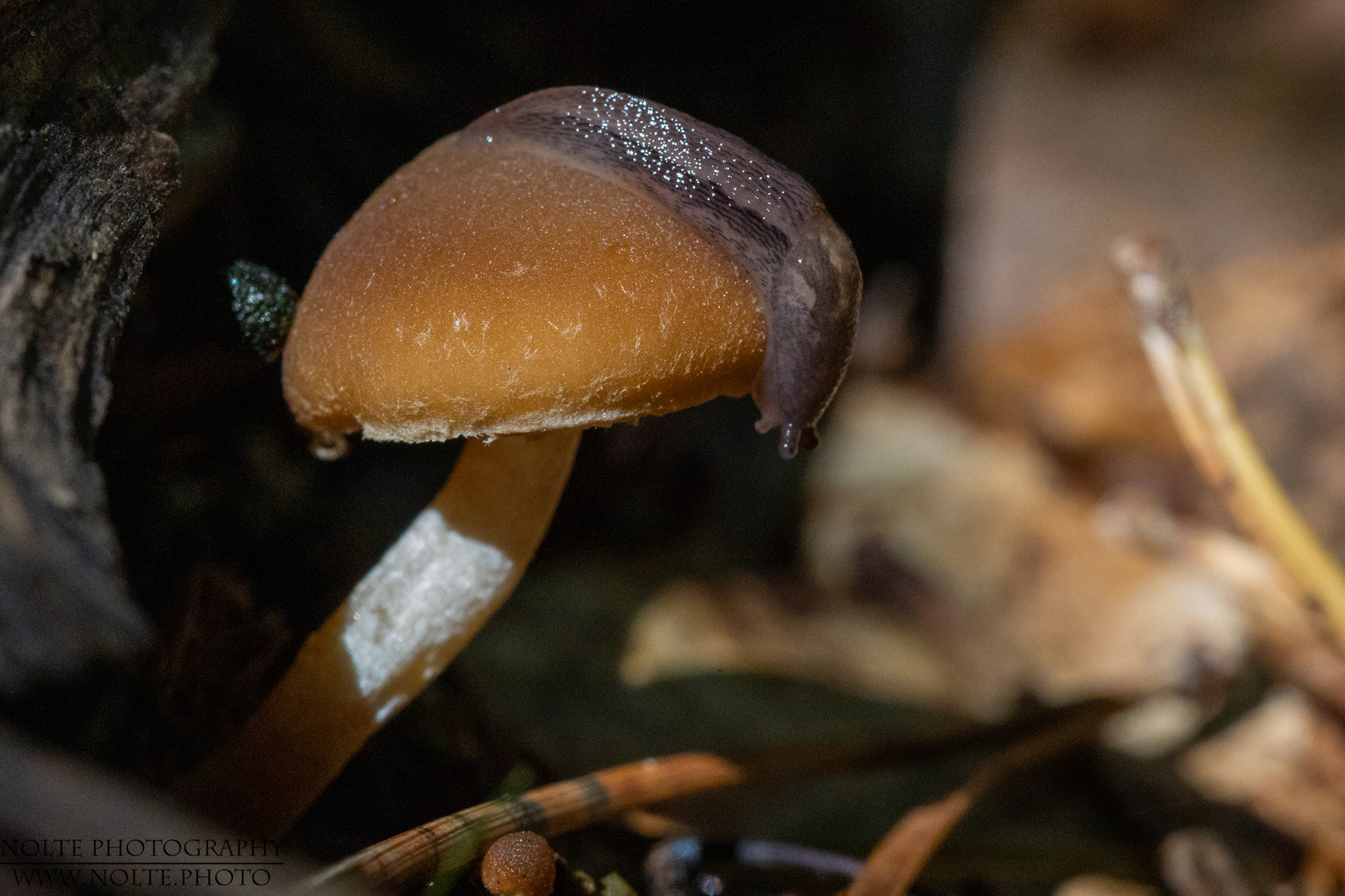 Wo gibts denn nun was zu fressen?