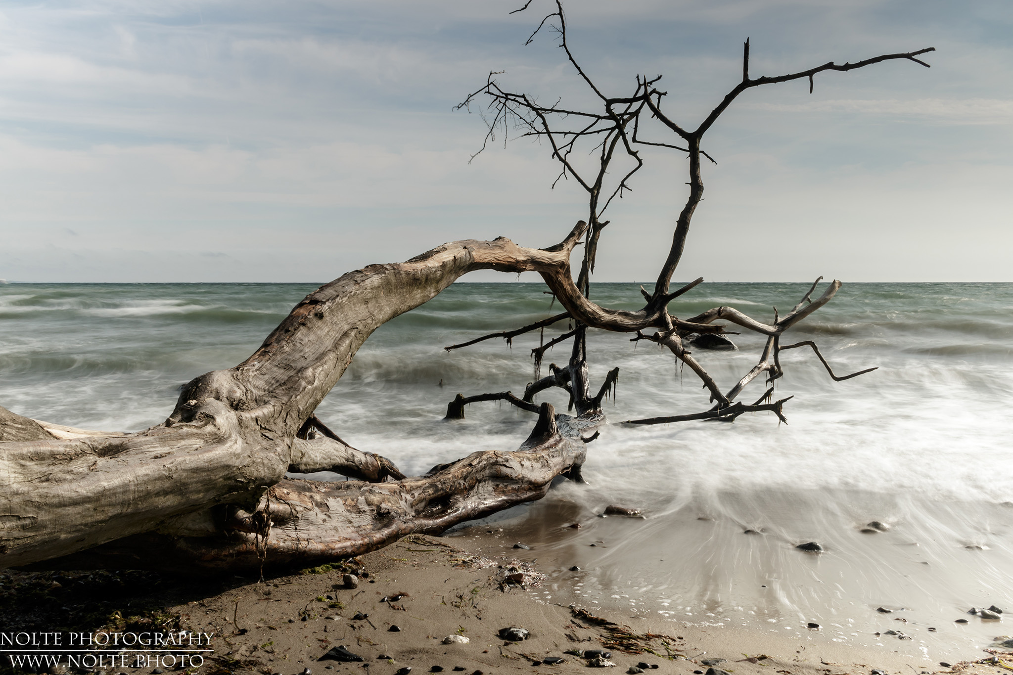 Baum in der Brandung
