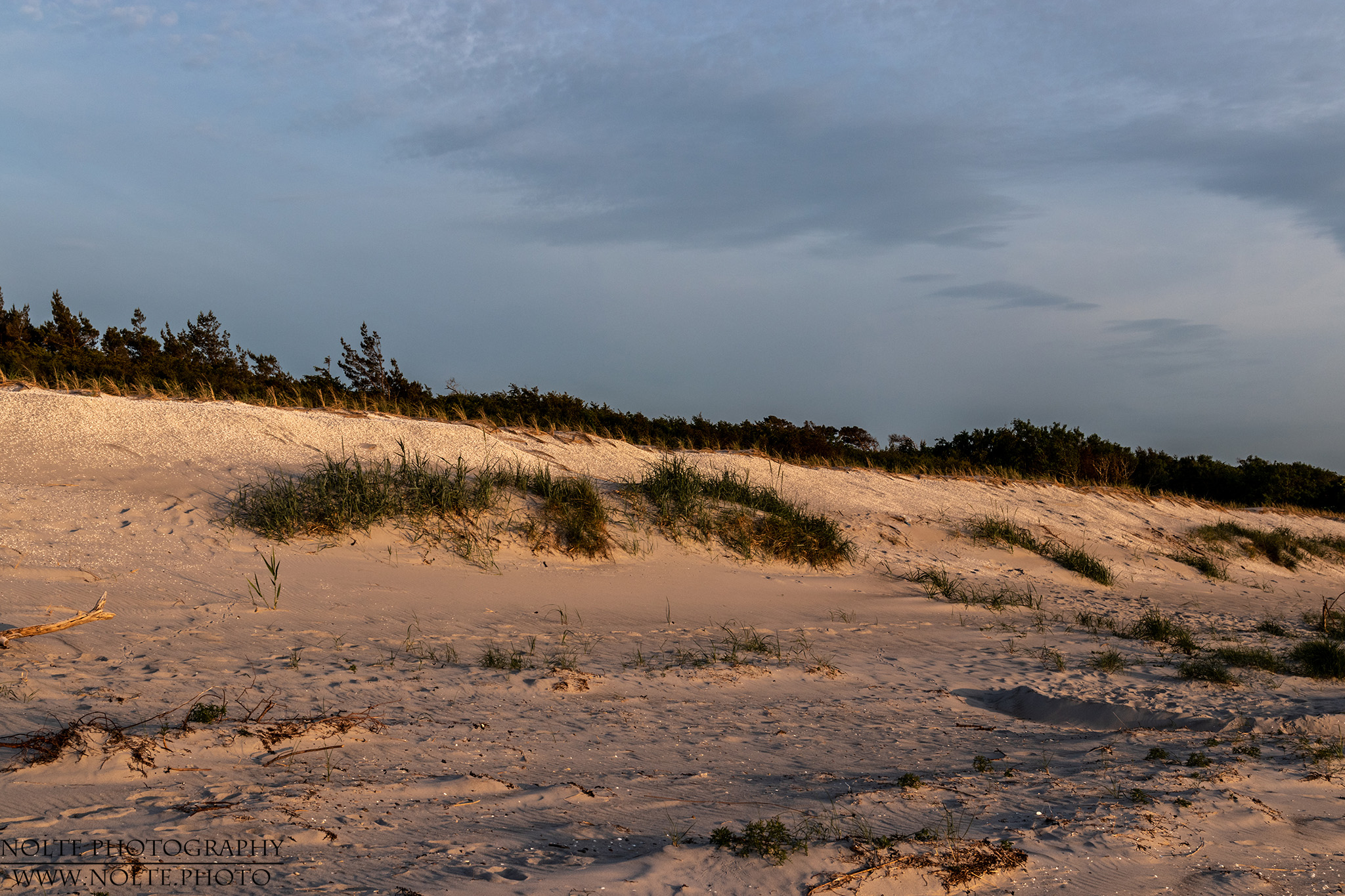 Düne im Abendlicht