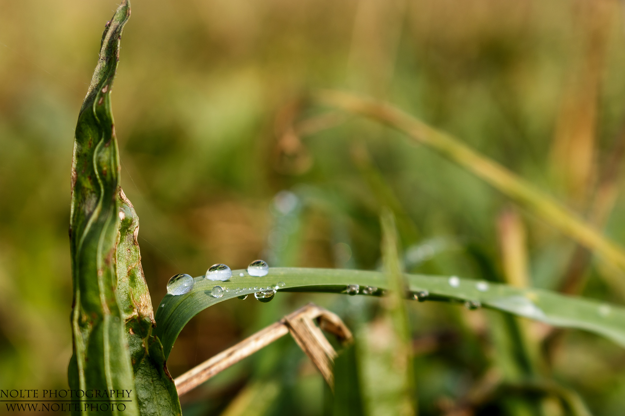 Eine fast perfekte Reihe