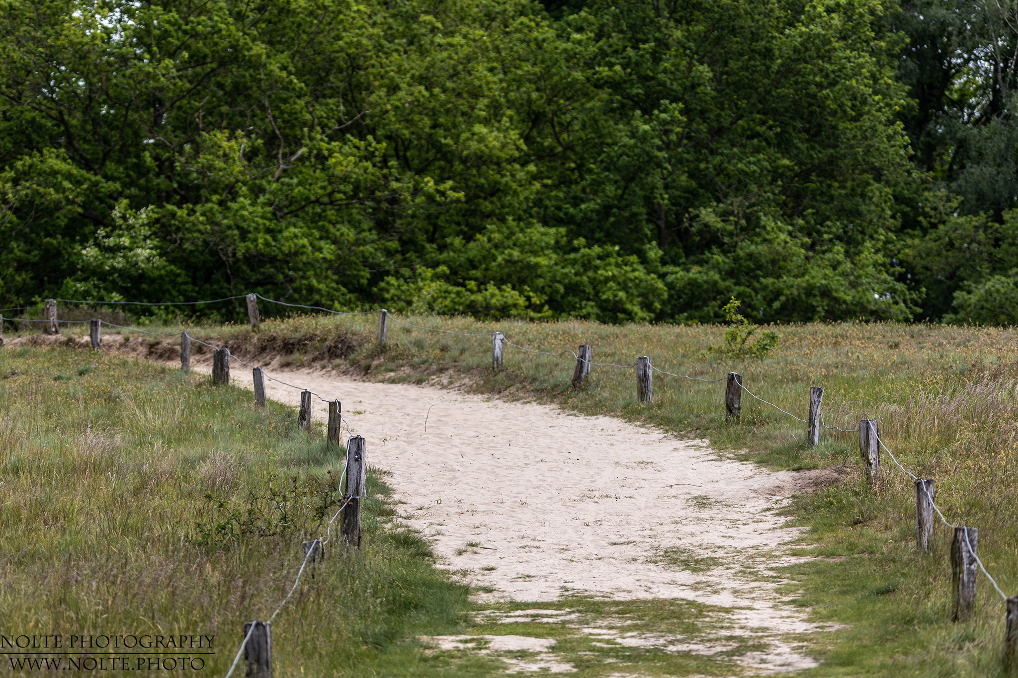 Der Weg in den Boberger Dünen