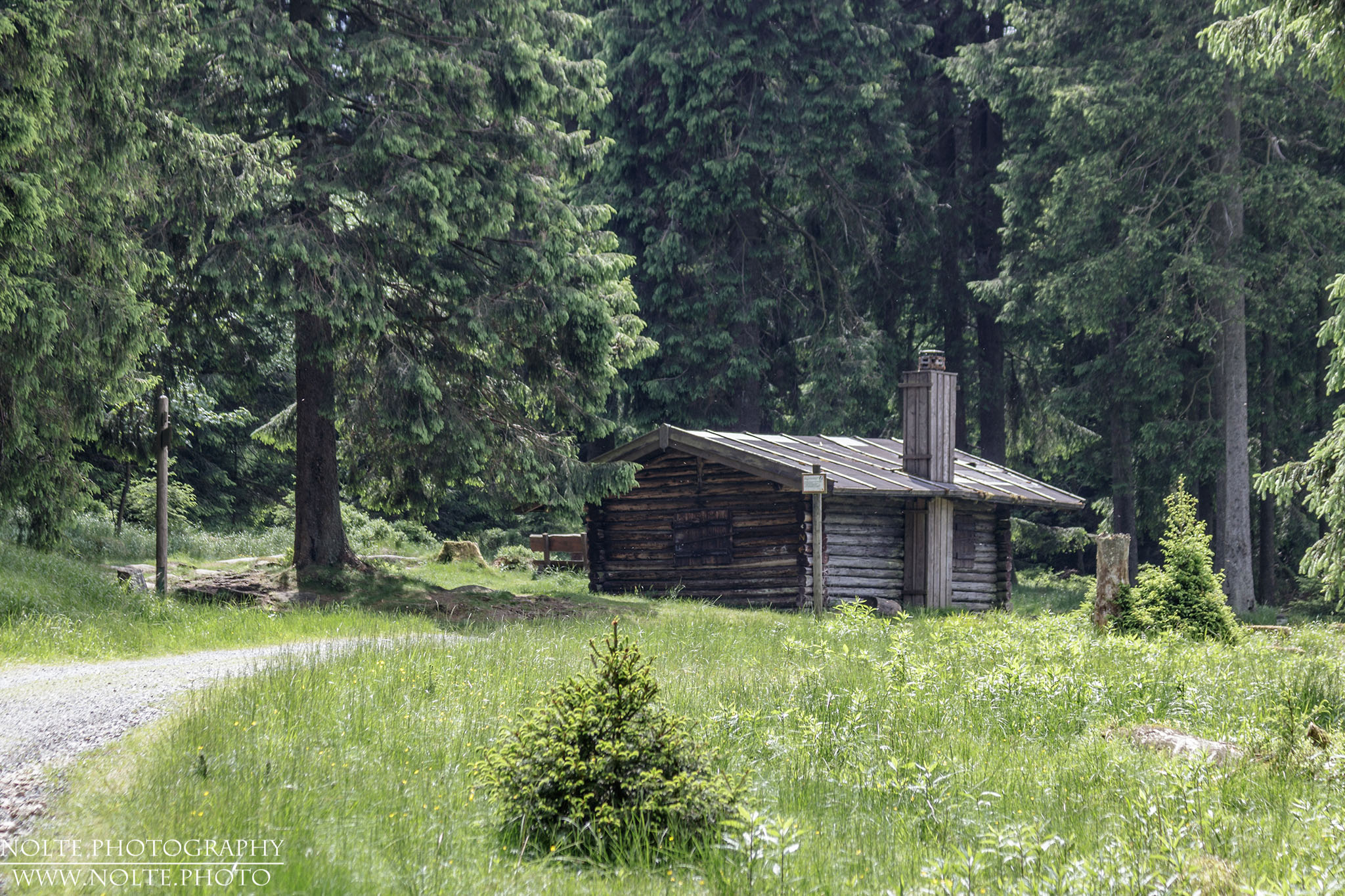 Die Hütte im Wald