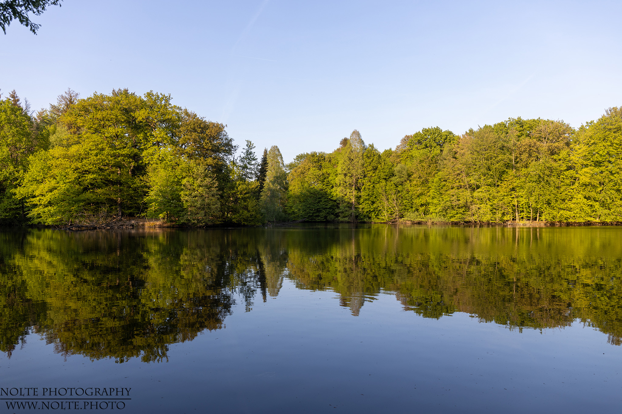 Ansicht des Saaler Weihers mit spiegelglattem Wasser