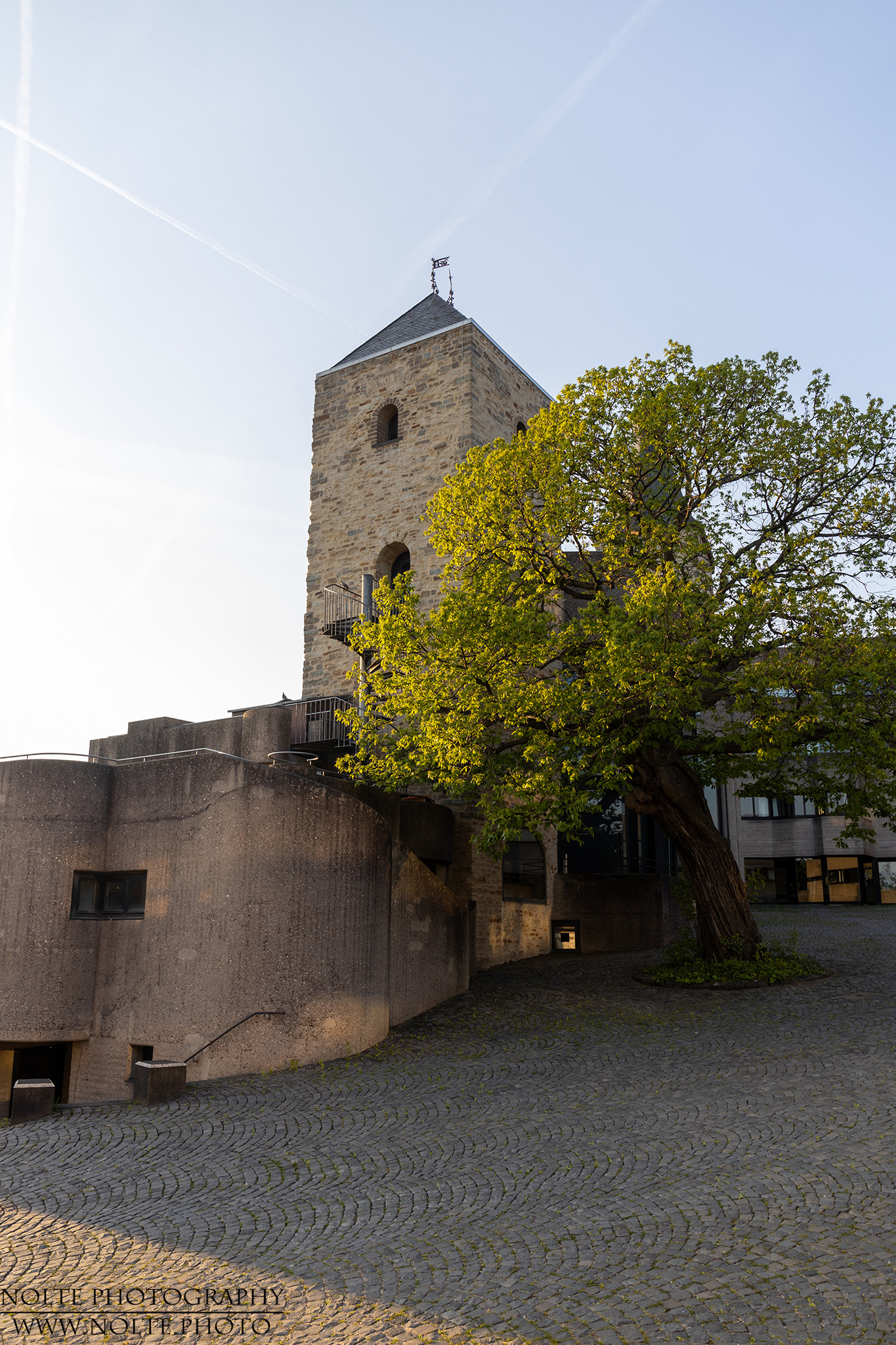 Einer der verbliebenen Türme des alten Schlosses mit Baum davo