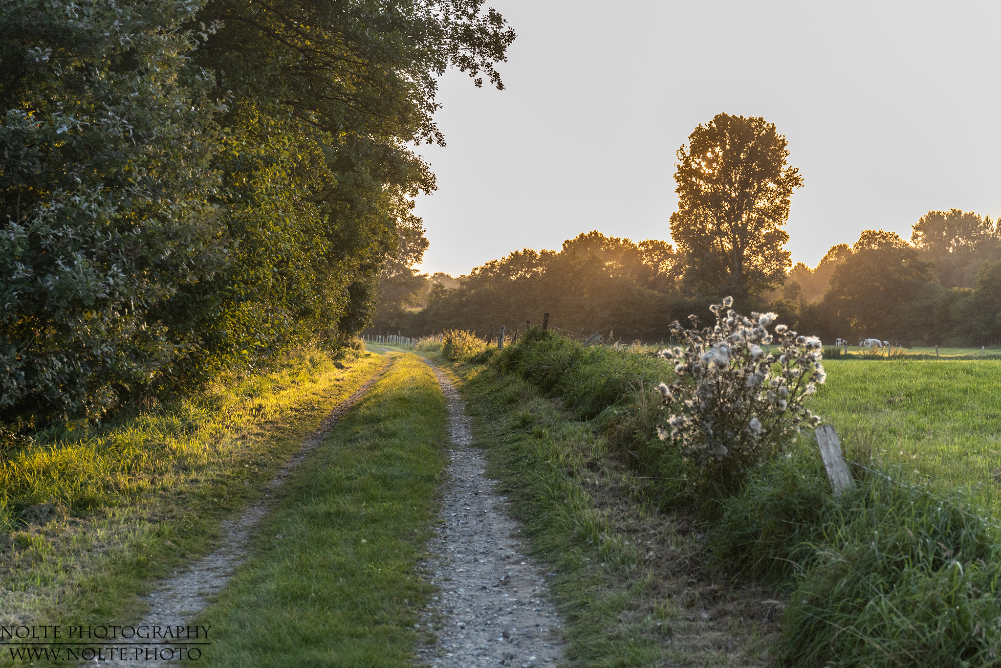 Weg in den Sonnenuntergang