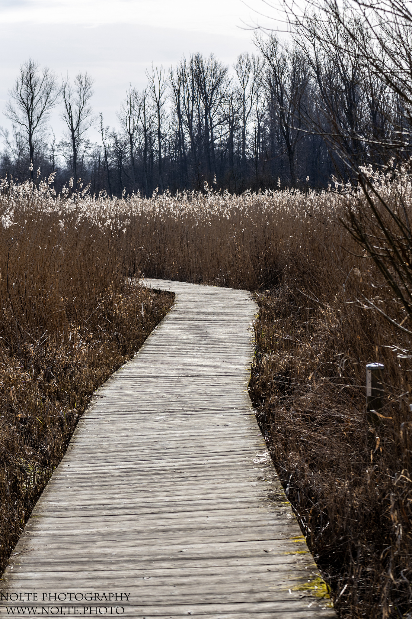 Manchmal ist es besser, auf dem Holzweg zu sein...