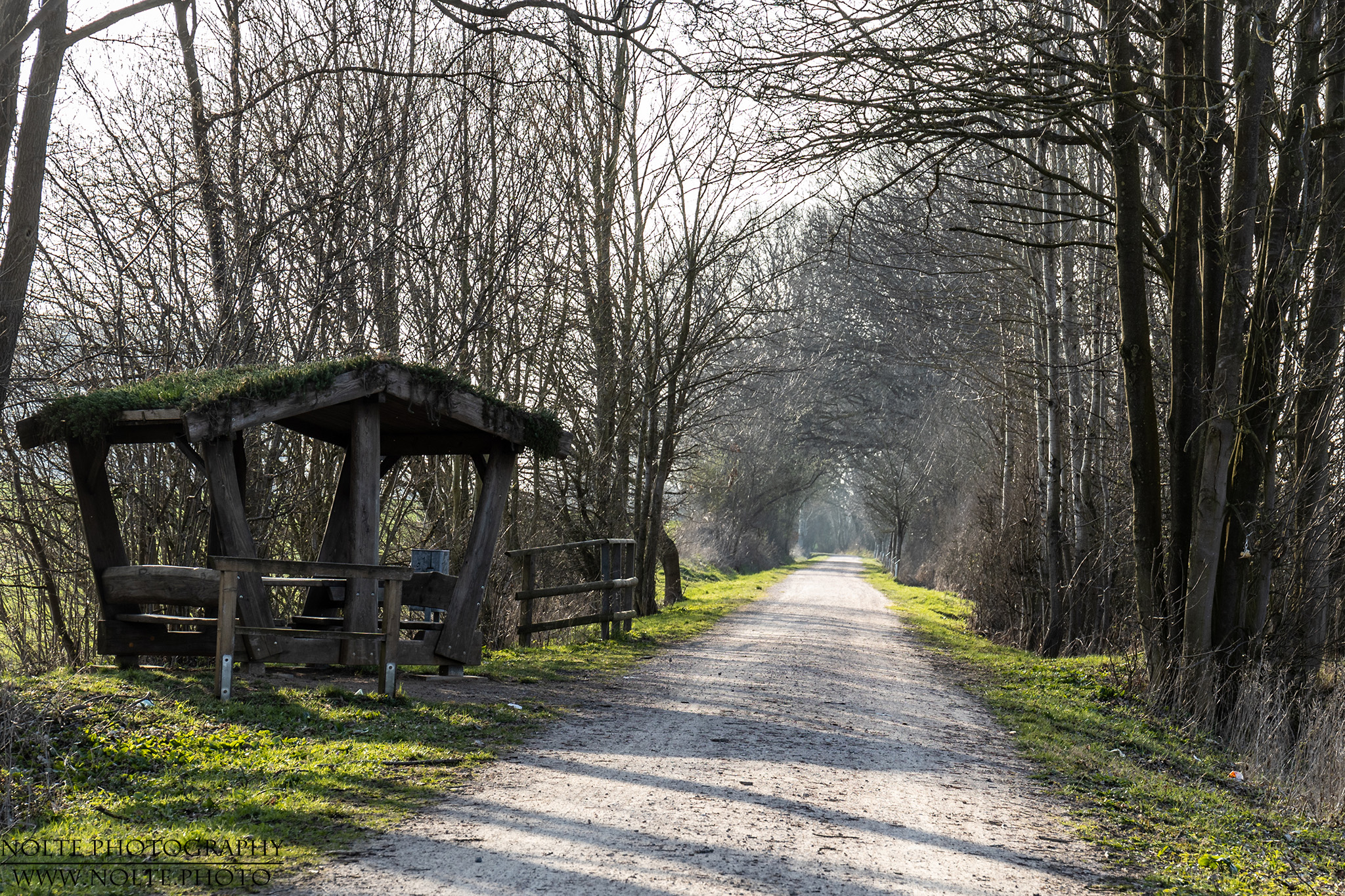 Immer geradeaus in den Frühling...