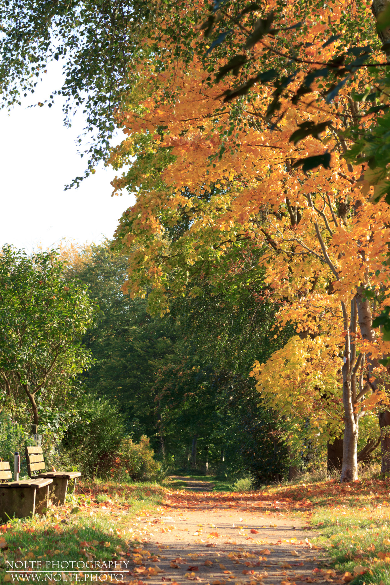 Herbstlicher Wanderweg bei Bad Oldesloe
