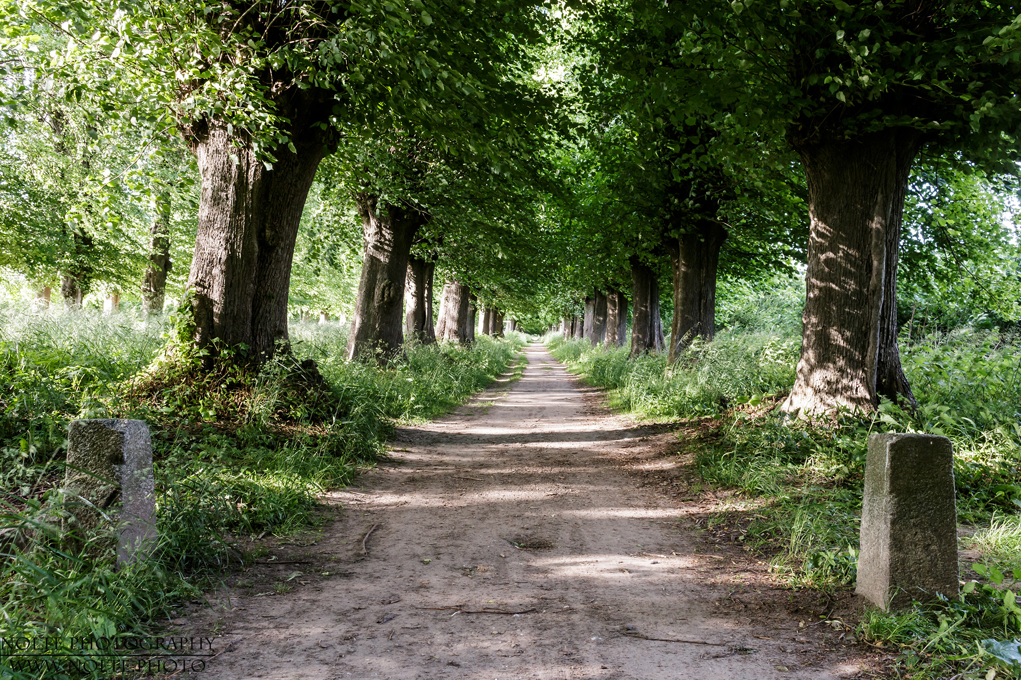 Alleeweg am Jetsbeker Schloss