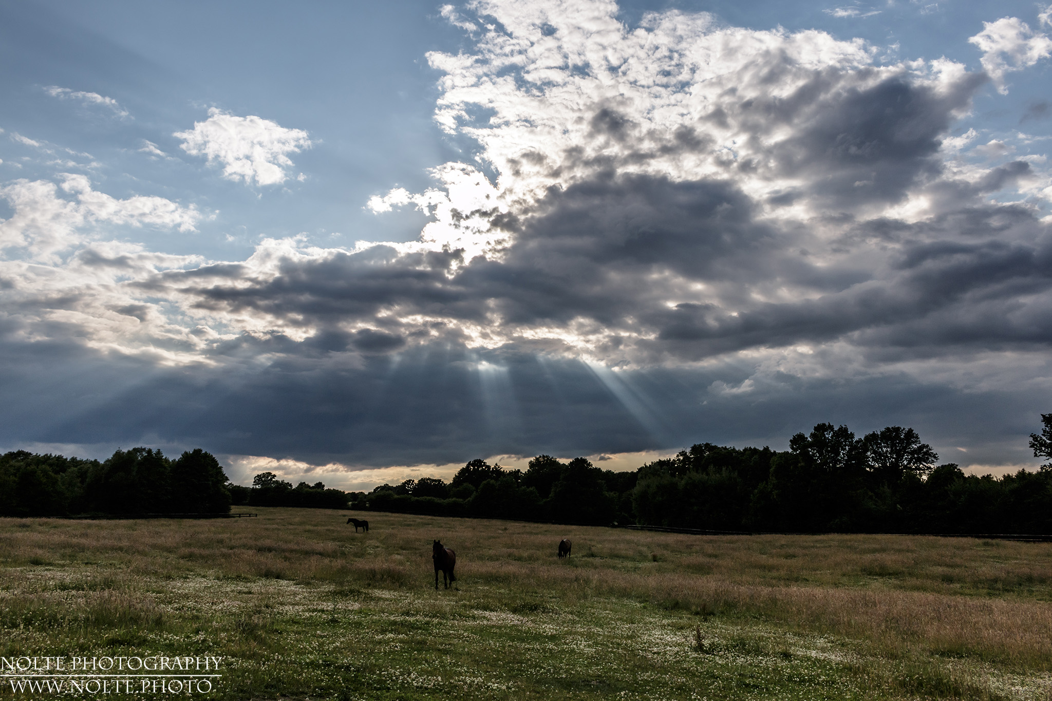 Pferdekoppel an der B75 bei Floggensee