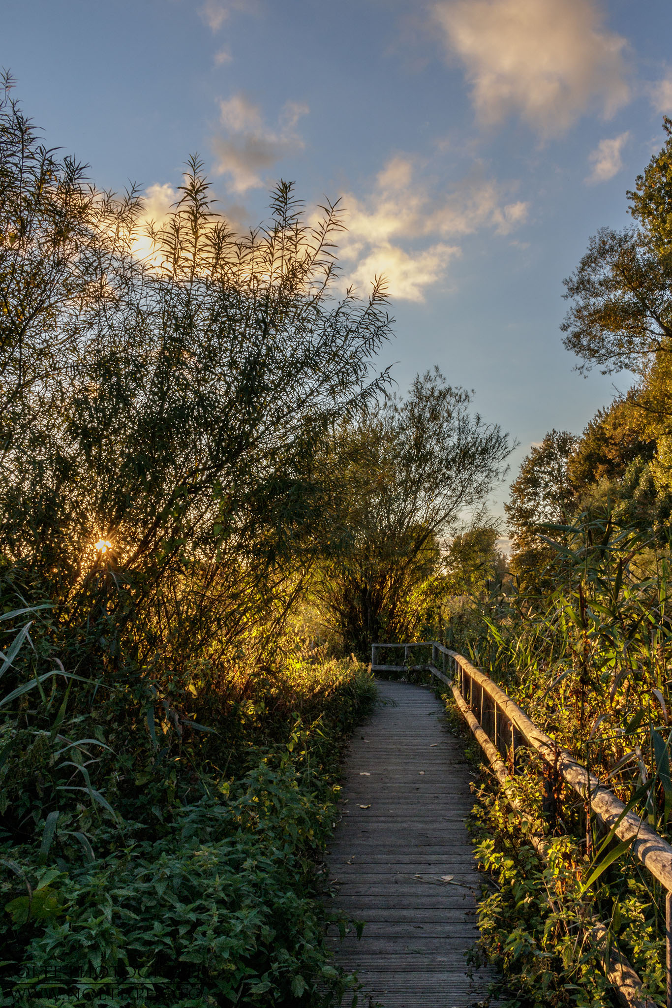 Holzbohlenweg im Brenner Moor