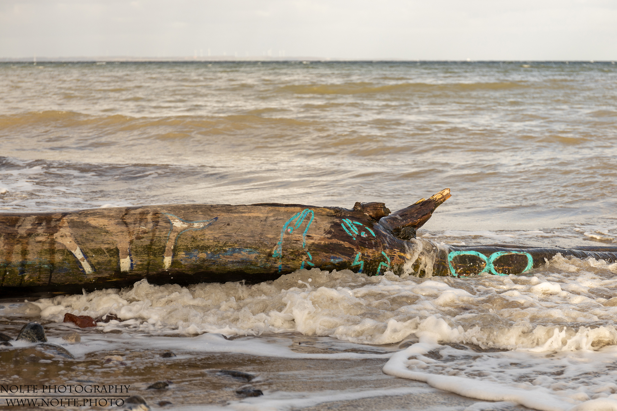 Travemünder Delfine