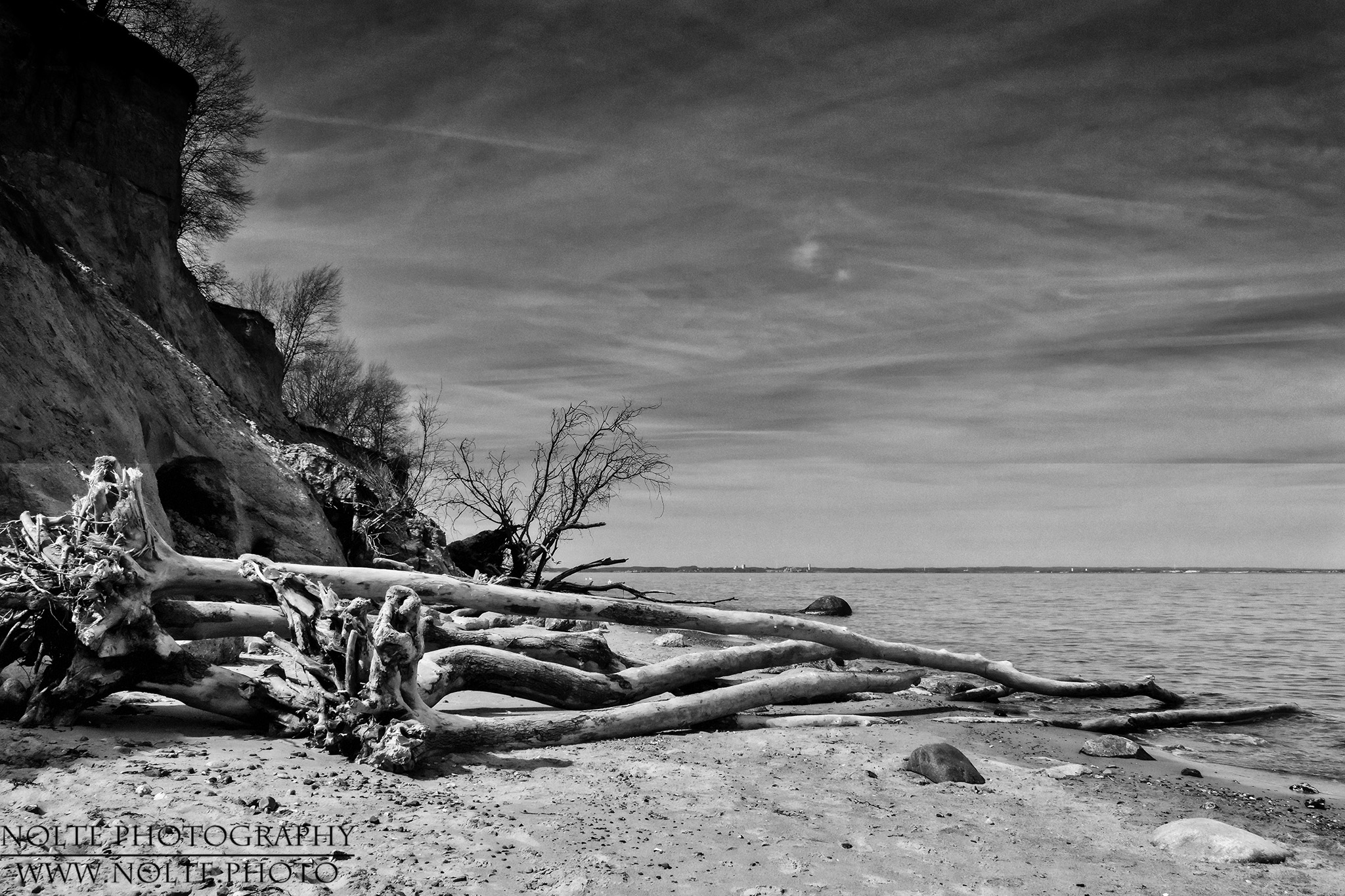 Baumsammlung am Brodtener Ufer