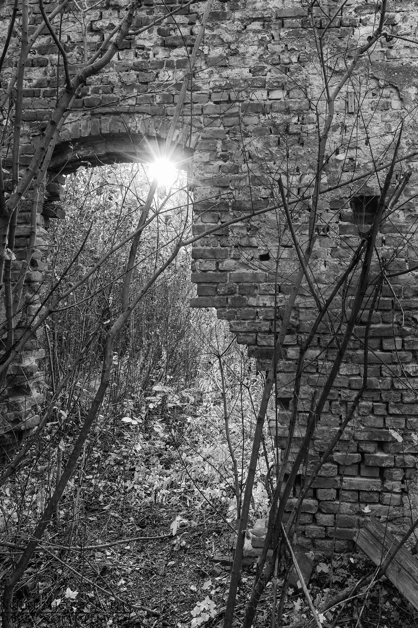 Lass die Sonne herein