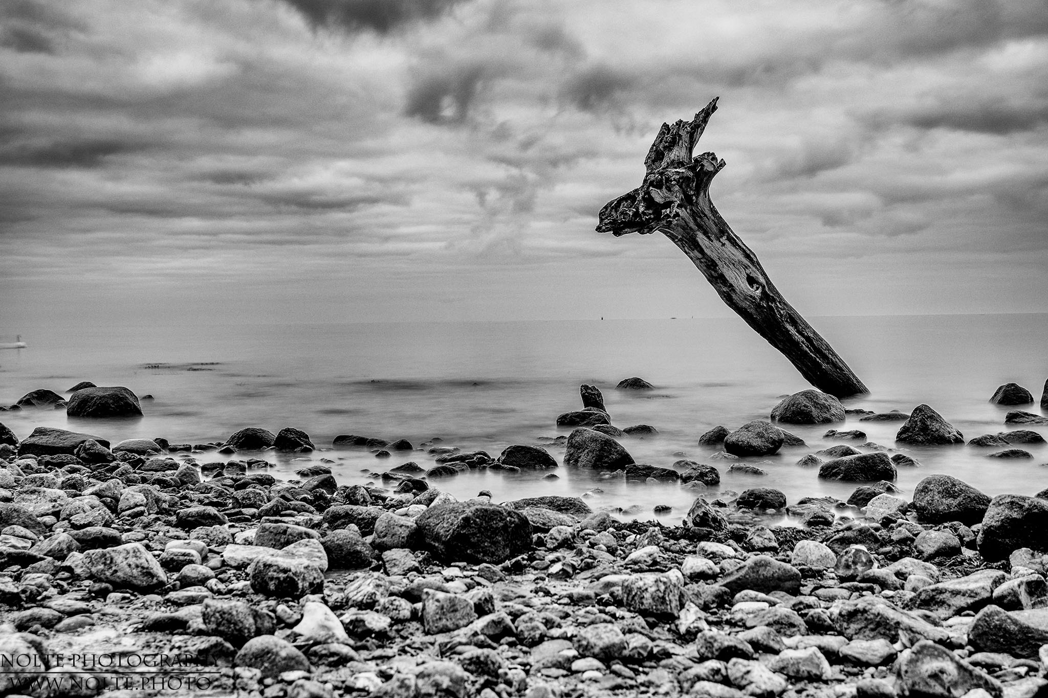 Der berühmteste Baumstamm Travemündes