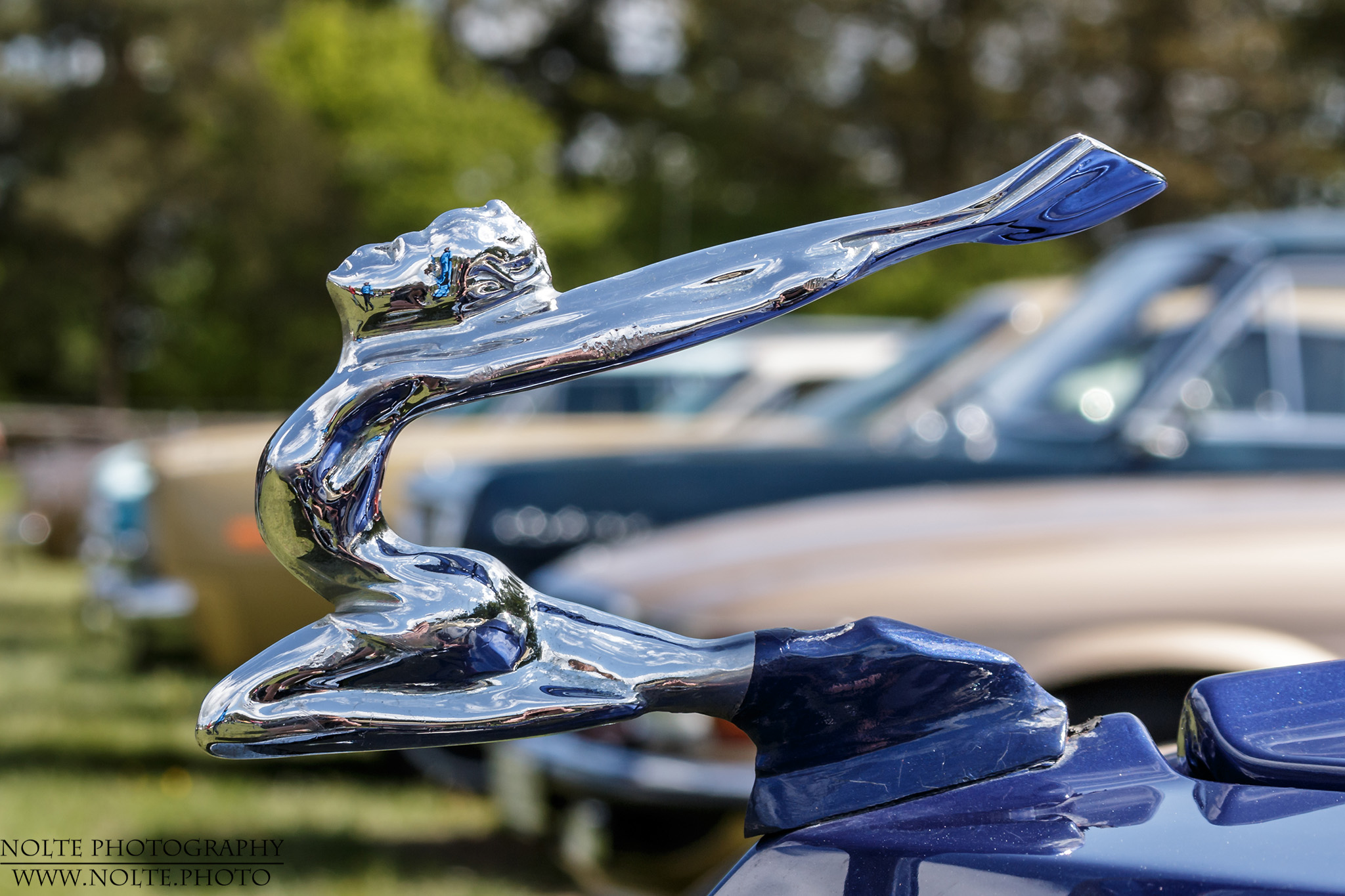 Immer einen Sprung voraus