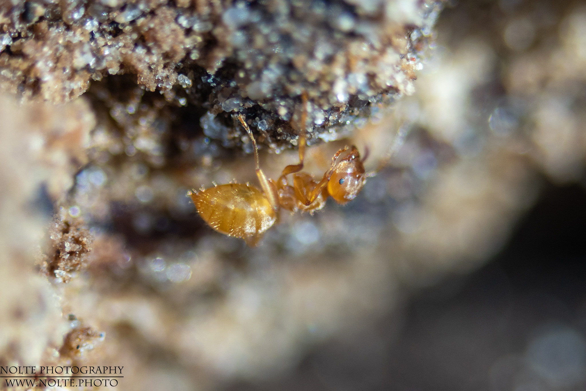 Nicht den Kopf hängen lassen...