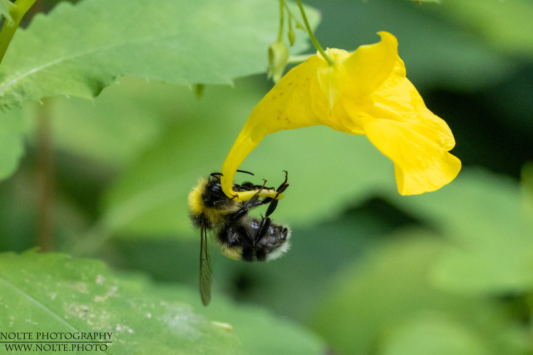 Suche nach dem Zugang?