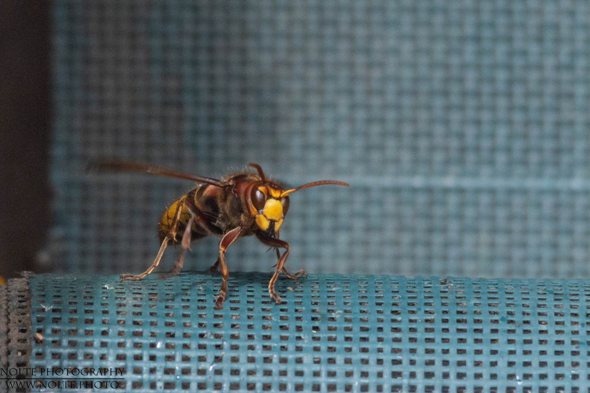 Du kommst hier nicht rein!