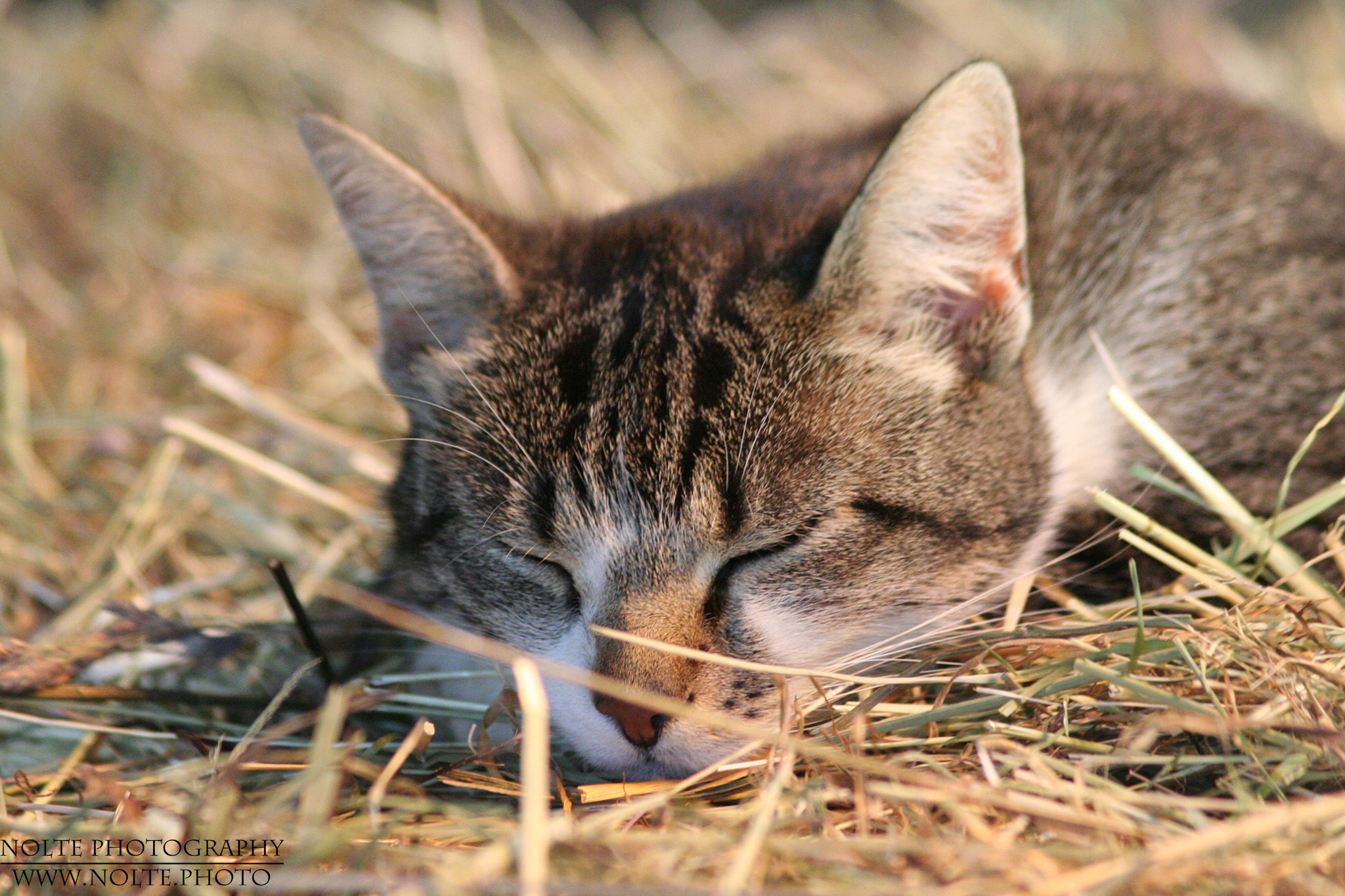 Bitte nicht stören...