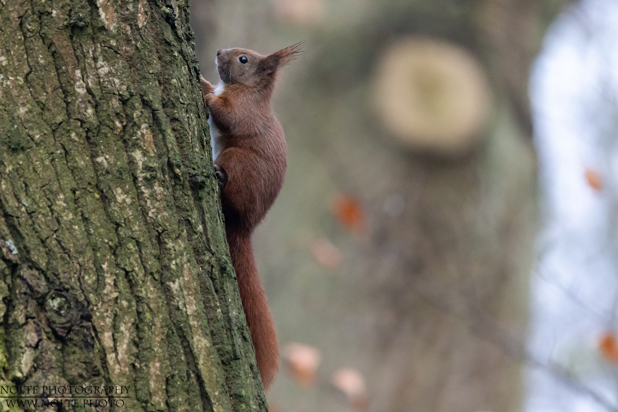 Kurze Pause auf dem Weg nach Oben...