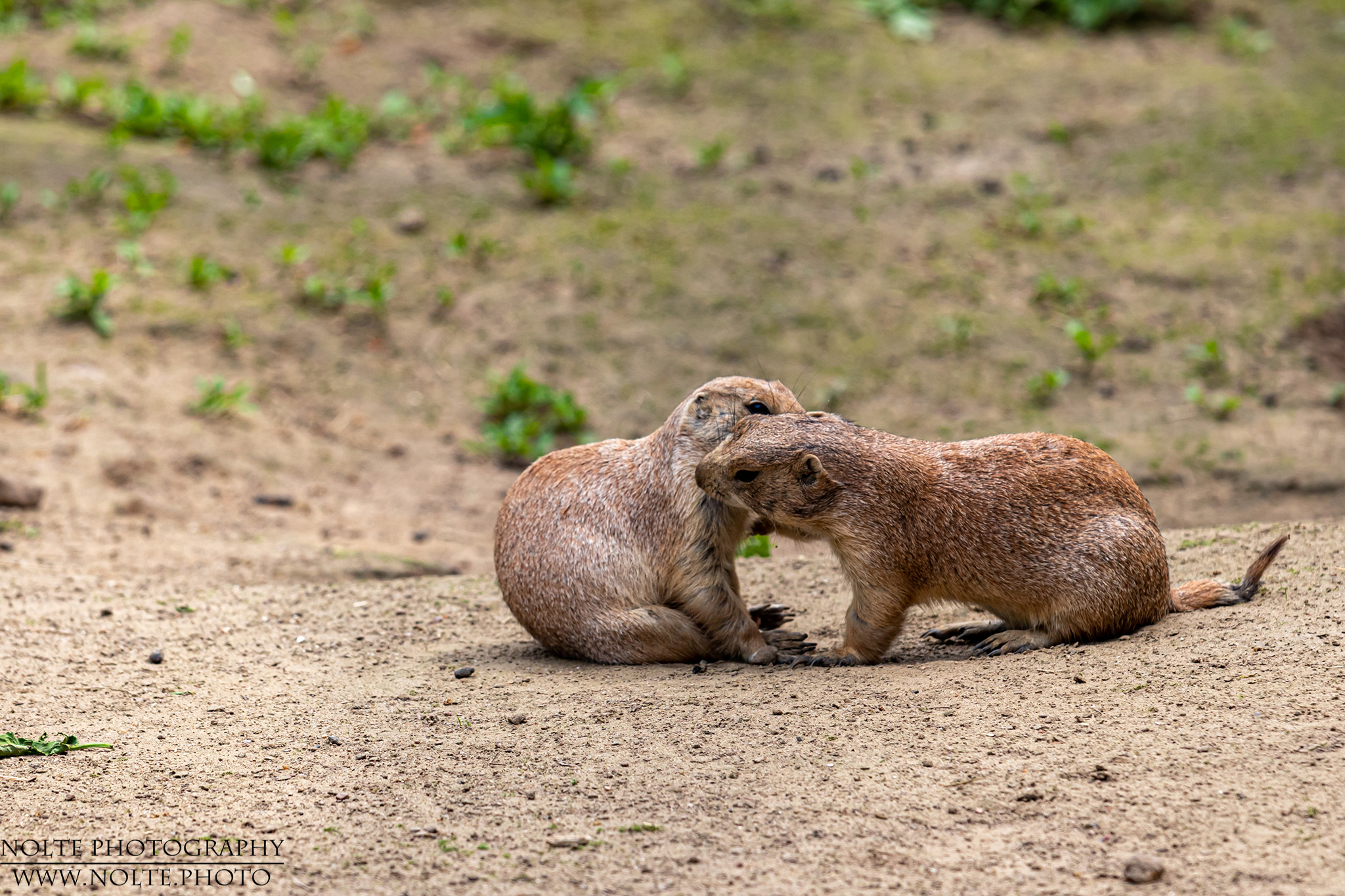 Hey, ich muss dir was erzählen...