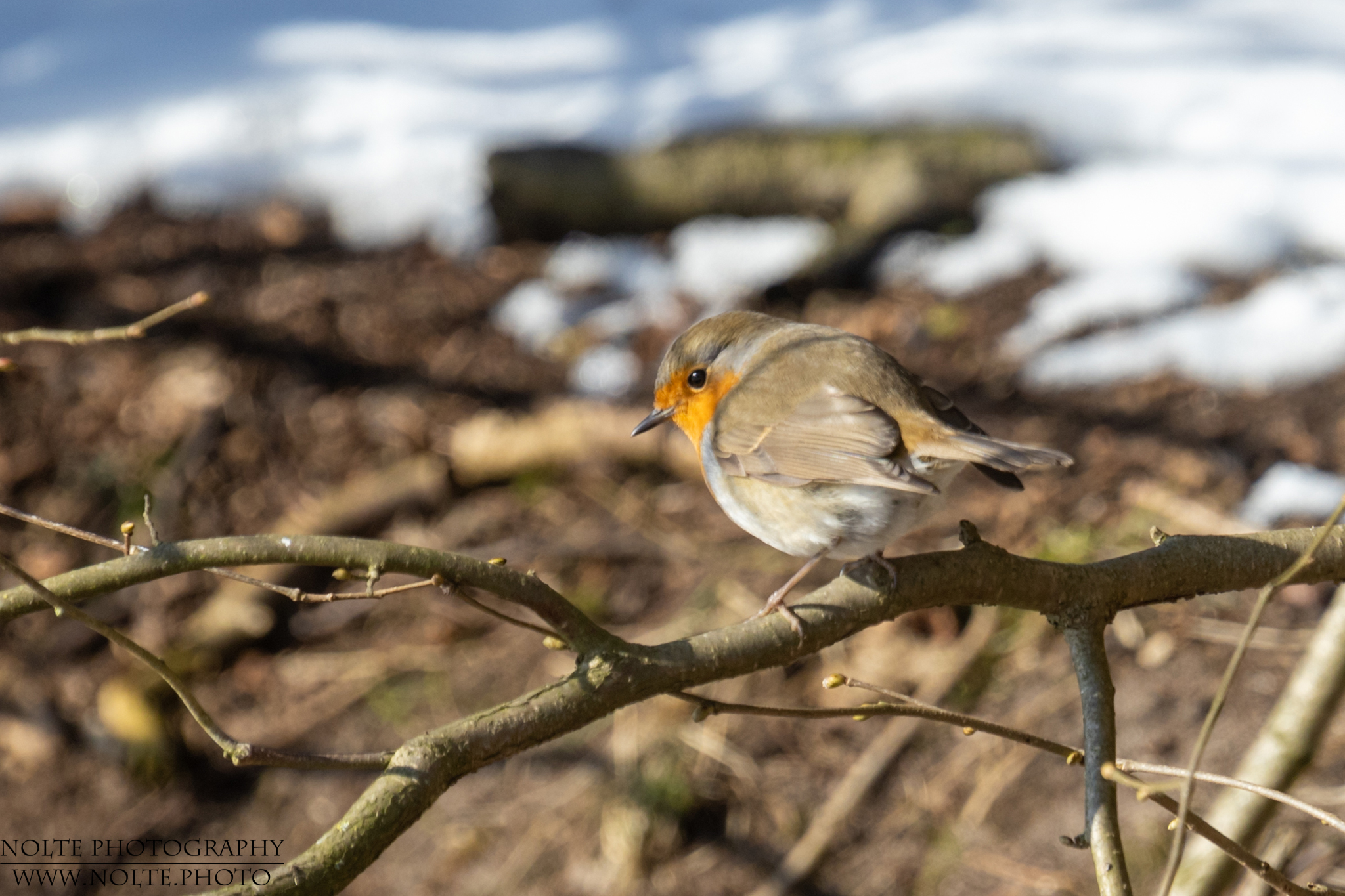 Ich bin doch schüchtern...