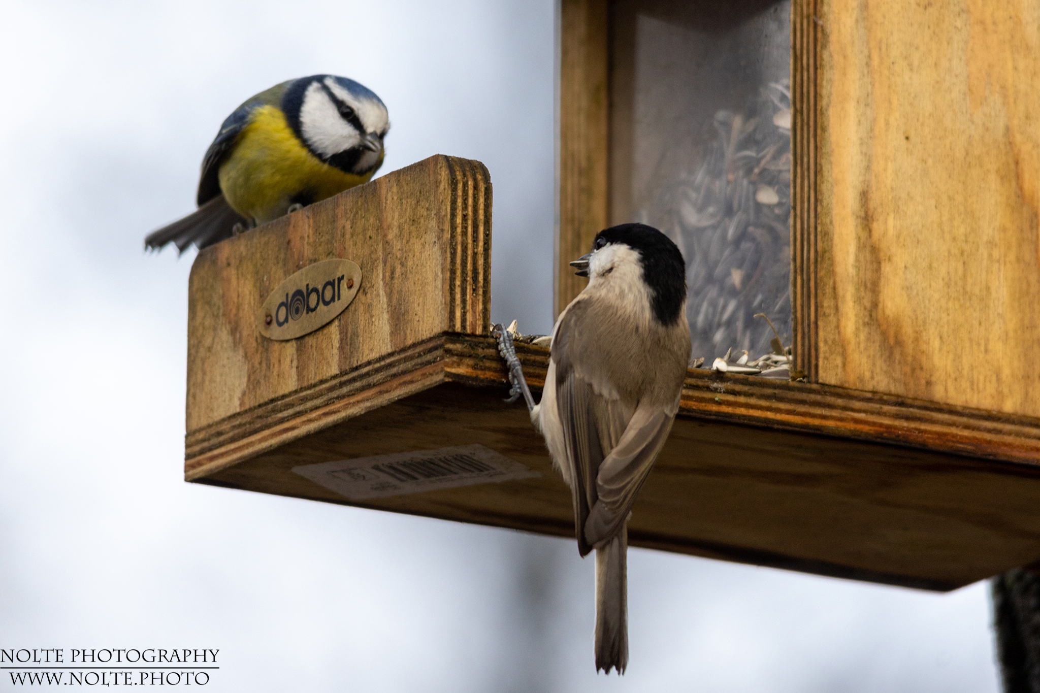 Was die beiden wohl zu besprechen haben...