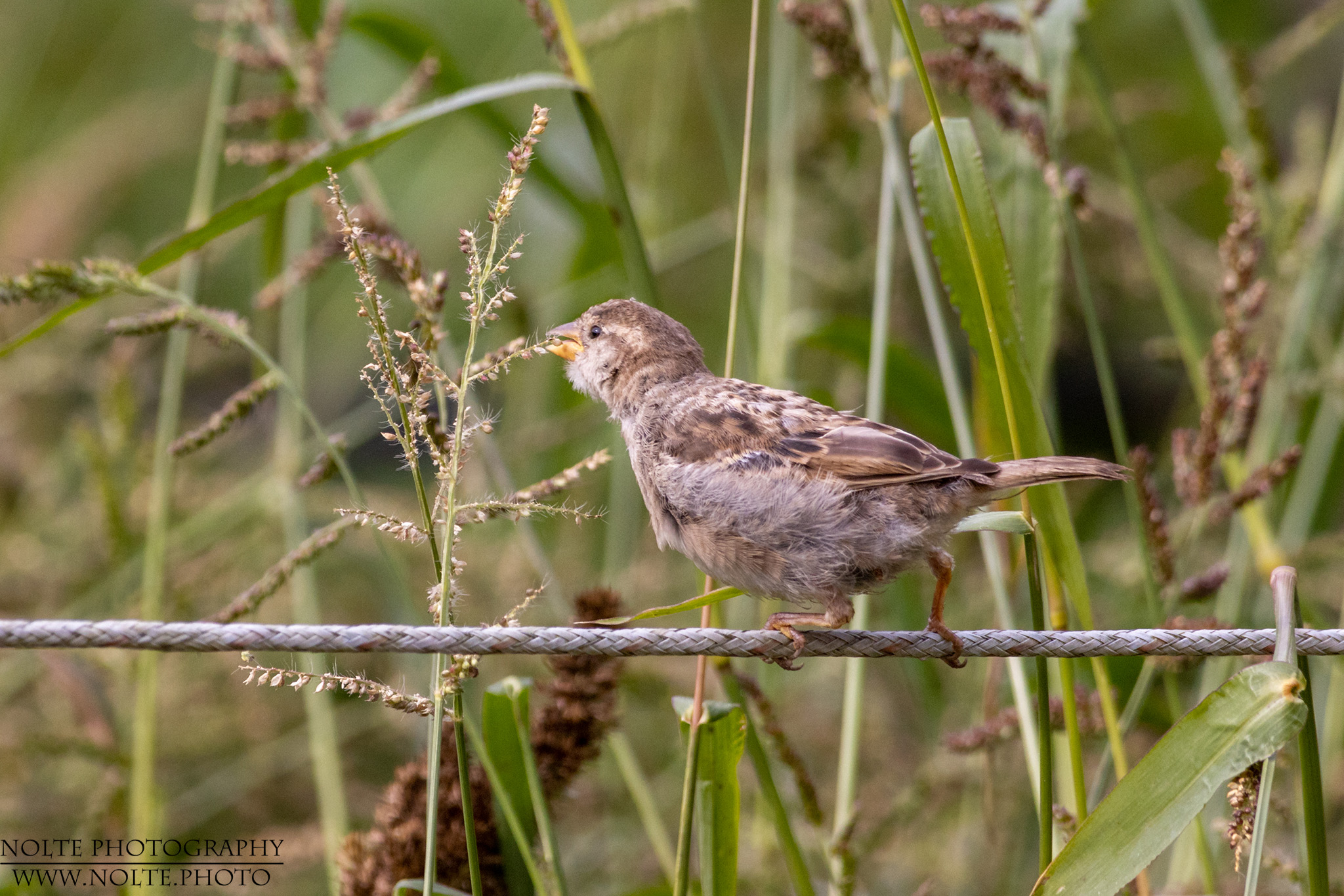 Bloss nicht das Gleichgewicht verlieren...