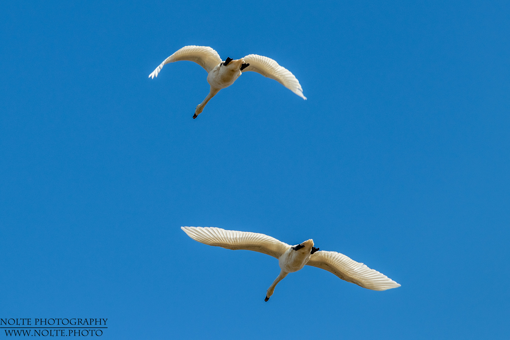 Manchmal sind sie zu schnell...