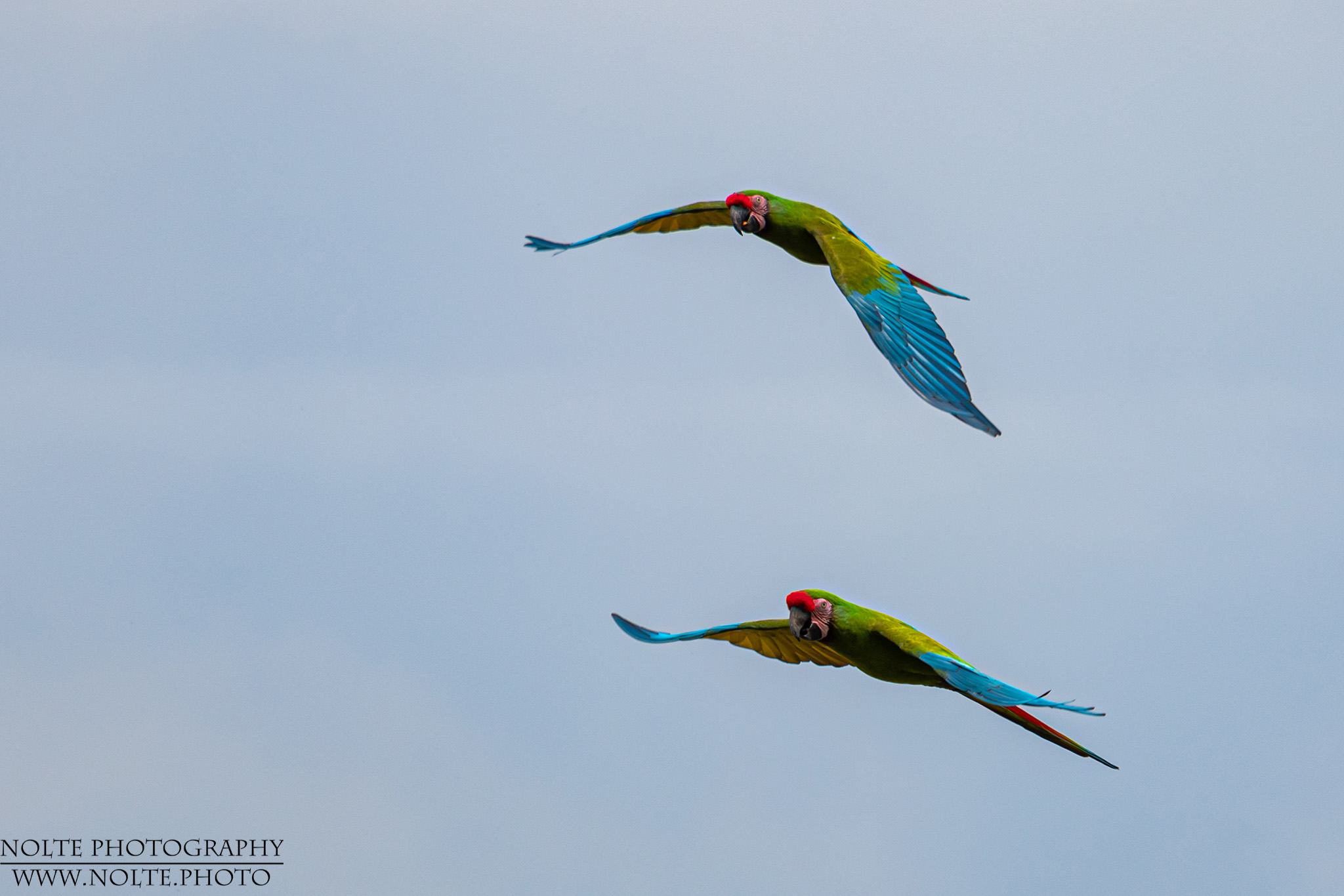(Fast) im Formationsflug